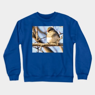 Junco No.4 Crewneck Sweatshirt